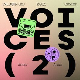 Album cover of Voices 02