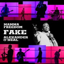 Album cover of Fake