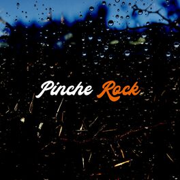 Album cover of Pinche Rock