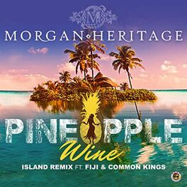 Album cover of Pineapple Wine (Island Remix)
