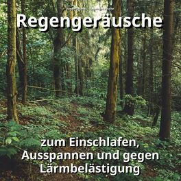 Album cover of Regengeräusche zum Einschlafen, Ausspannen und gegen Lärmbelästigung