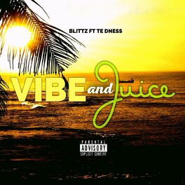 Album cover of Vibe and Juice (feat. Te Dness)