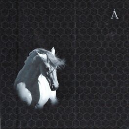 Album cover of Лошадь белая