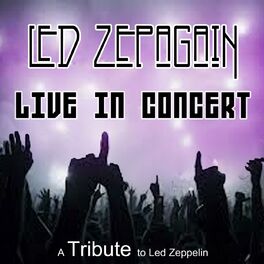 Album cover of Led Zepagain 