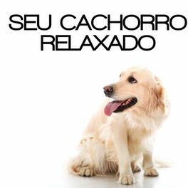 Album cover of Seu Cachorro Relaxado - Sons da Natureza Que Acalmarão Seu Animal de Estimação, Membro da Família, Amor e Confiança, Juntos para S