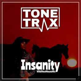 Album cover of Insanity (House Radio Cut)