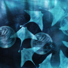 Album cover of Srebro ryb