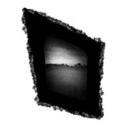 Album cover of Morning Dew