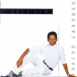 Album cover of Vai e Vem
