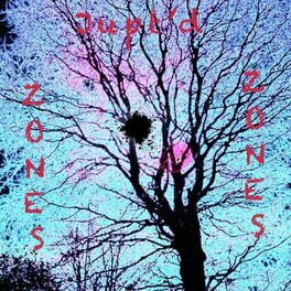 Album cover of Zones