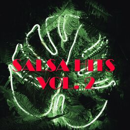 Album cover of Salsa Hits Vol. 2