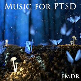 Album cover of Music for PTSD