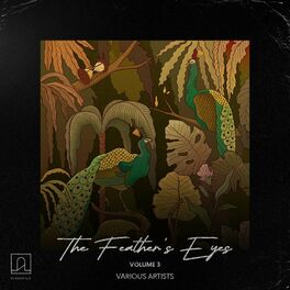 Album cover of The Feathers' Eyes Vol.3