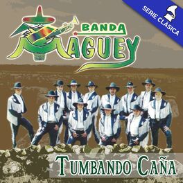 Album cover of Tumbando Caña (Serie Clásica)