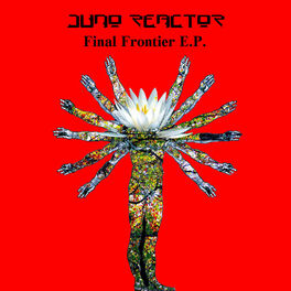 Album cover of Final Frontier