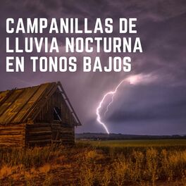 Album cover of Campanillas De Lluvia Nocturna En Tonos Bajos