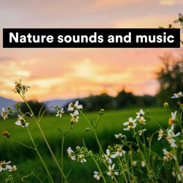 Album cover of Nature sounds and music