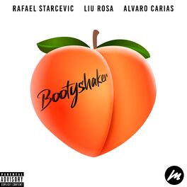 Album cover of Bootyshaker (Radio Edit)