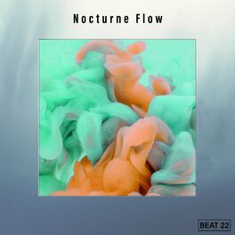 Album cover of Nocturne Flow Beat 22