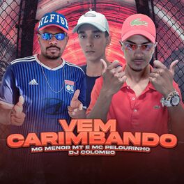 Album cover of Vem Carimbando
