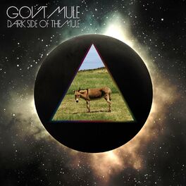 Album cover of Dark Side Of The Mule