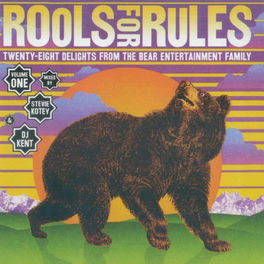 Album cover of Rools For Rules