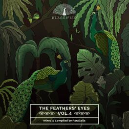 Album cover of The Feathers' Eyes, Vol. 4