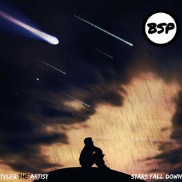 Album cover of Stars Fall Down (feat. BIG SMASH)