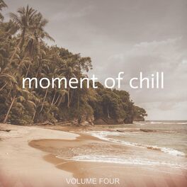 Album cover of Moment of Chill, Vol. 4