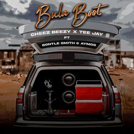 Album cover of Bula Boot