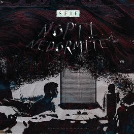 Album cover of Nopti nedormite (feat. GOB)
