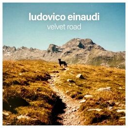 Album cover of Velvet Road