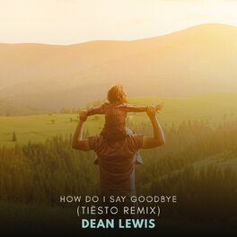 Album cover of How Do I Say Goodbye (Tiësto Remix)