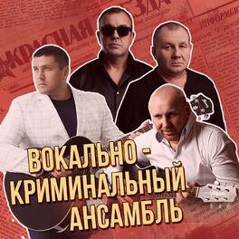 Album cover of Вокально-криминальный ансамбль. Сборник лучших хитов