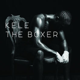 Album cover of The Boxer