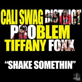 Album cover of Shake Somethin (Radio Edit Version) [feat. Problem & Tiffany Foxx]