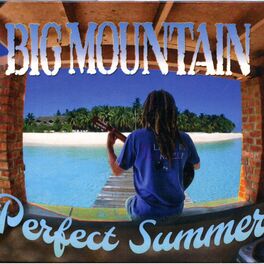 Album cover of Perfect Summer