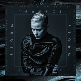 Album cover of Perfect Storm
