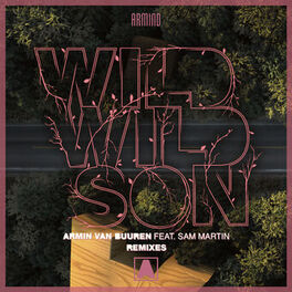 Album cover of Wild Wild Son (Remixes)