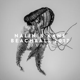 Album cover of Beachball 2017 (Remixes)