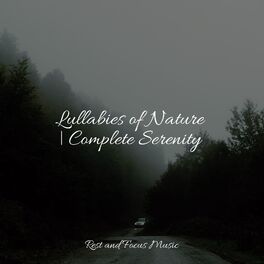 Album cover of Lullabies of Nature | Complete Serenity