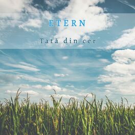 Album cover of Tată din cer