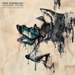 Album cover of Wolf / Darkest Rivers Remixes