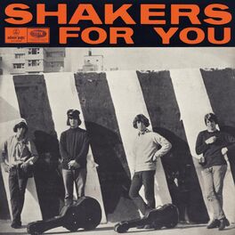 Album cover of Shakers For You