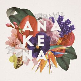 Album cover of Anakena