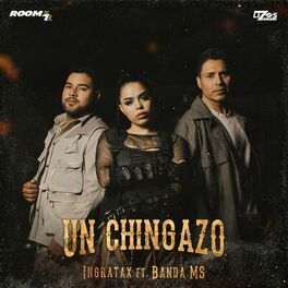 Album cover of Un Chingazo