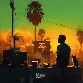 Album cover of Try