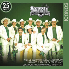 Album cover of Íconos 25 Éxitos