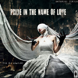 Album cover of Pride In the Name of Love