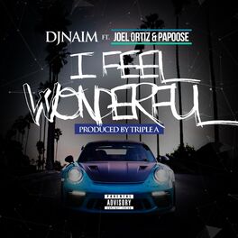 Album cover of I Feel Wonderful (feat. Joel Ortiz & Papoose)